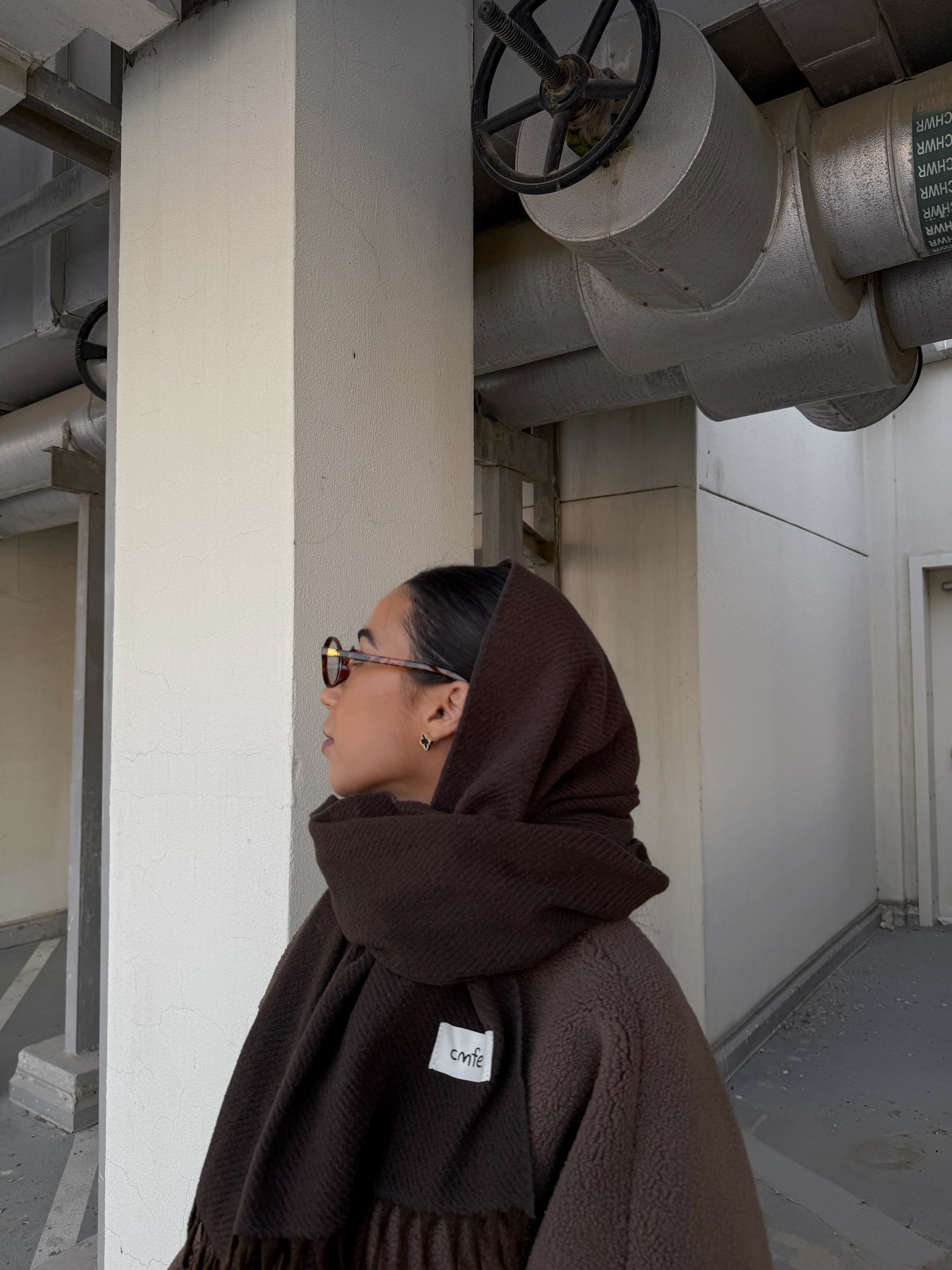 winter scarf - brown
